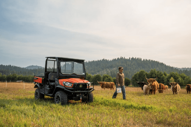 Man using his RTV to drive out to a field to tend to cows